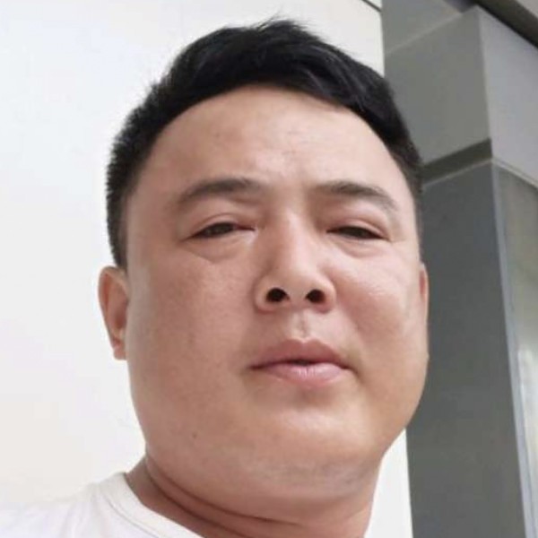 迷离用情话的照片