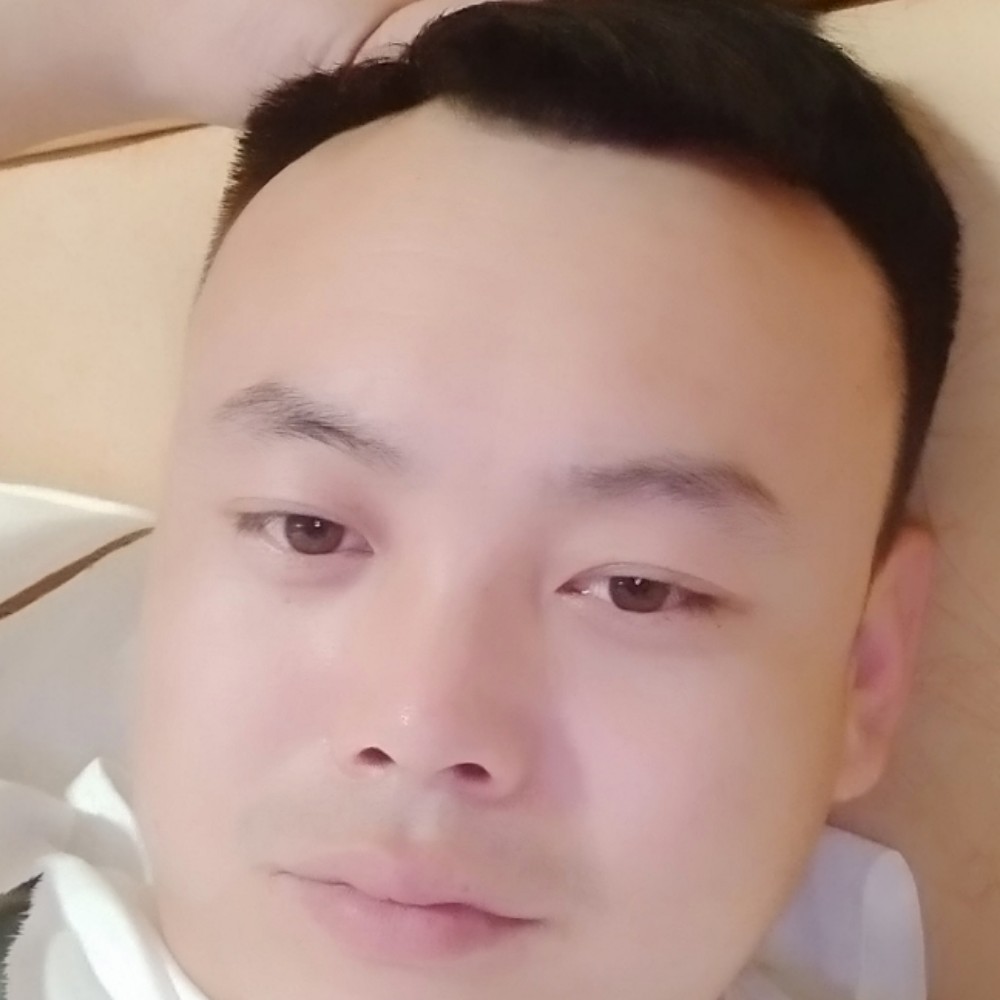 橘子停止美好的照片