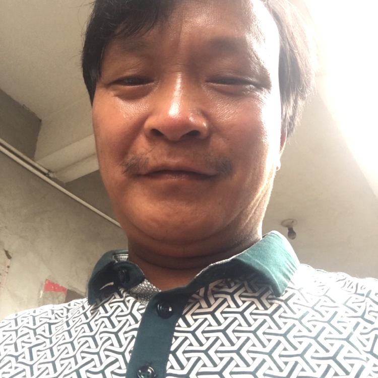 虚心的胡萝卜的照片