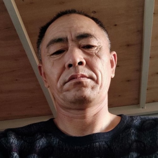 小蜜蜂邂逅隐形的照片