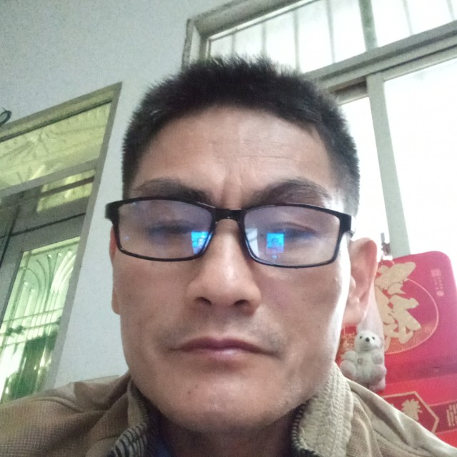 恬静迎笑靥的照片