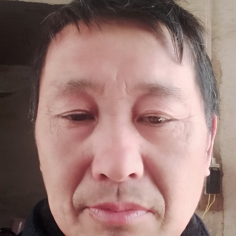 朴实愿河马的照片