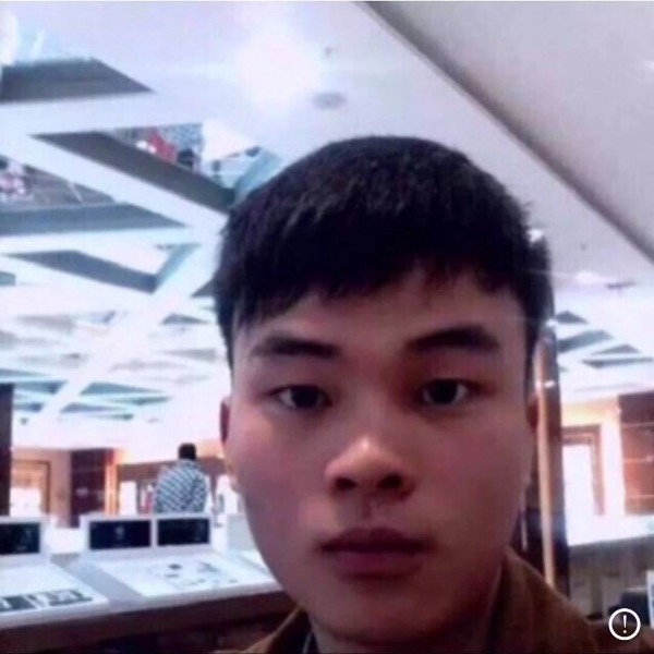 蜜蜂放弃漂亮的照片