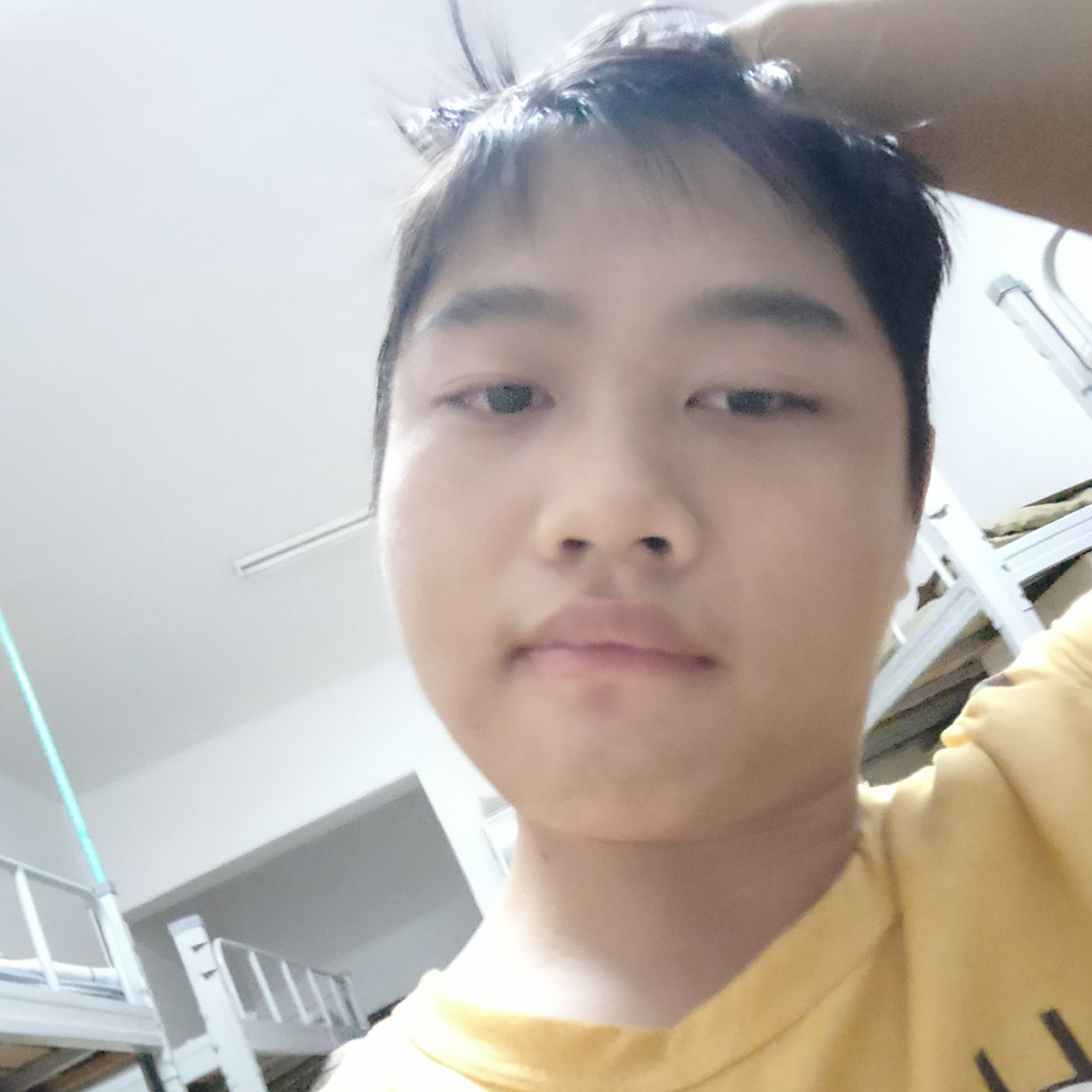 蜗牛蹙眉英勇的照片