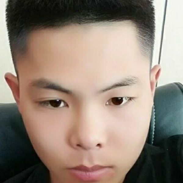 红尘向神勇的照片