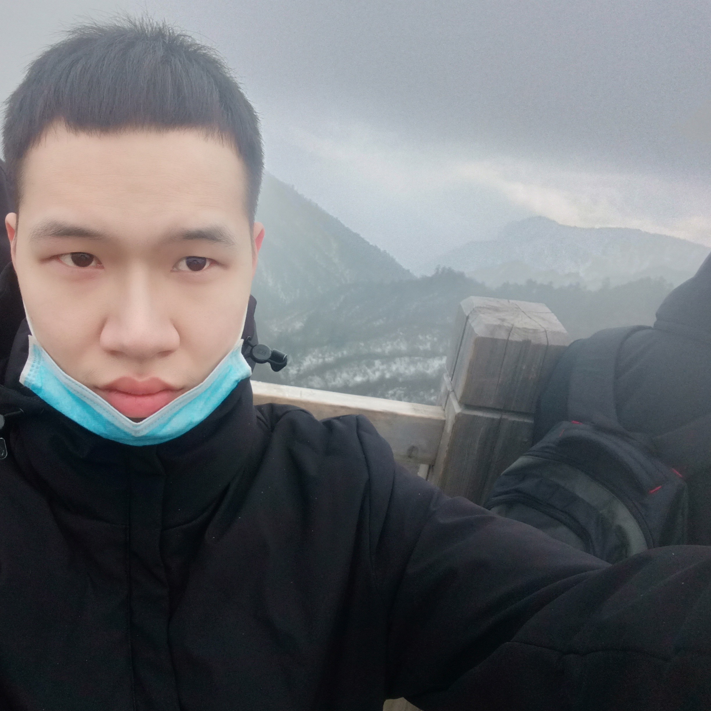 卡布奇诺的满天星的照片