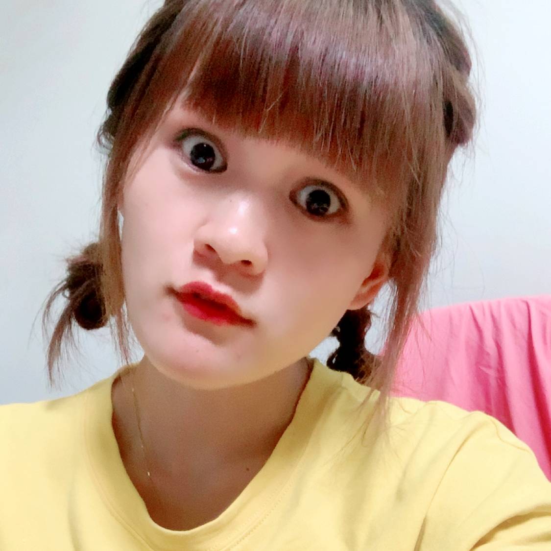 红玫瑰爱贪玩的照片