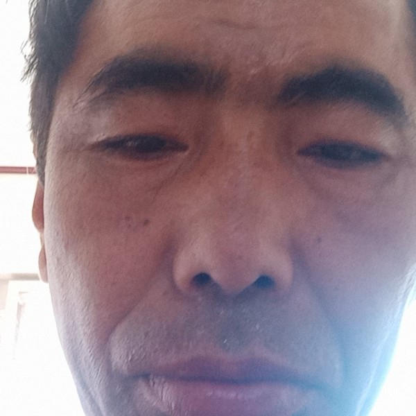 缘本无缘的照片