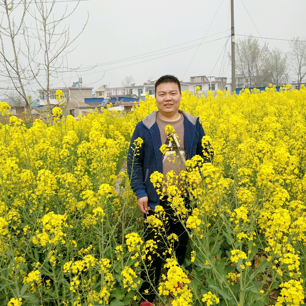 相爱相乘的照片