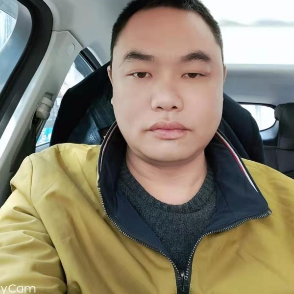 大树外向的照片