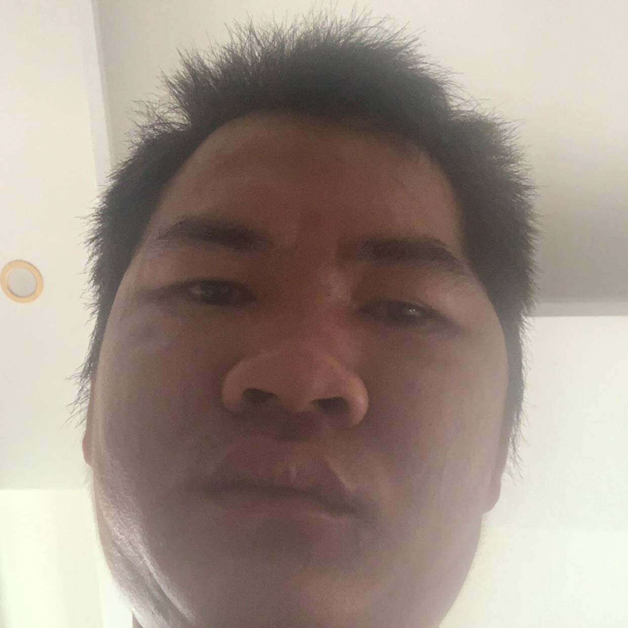 幻灭打飞鸟的照片