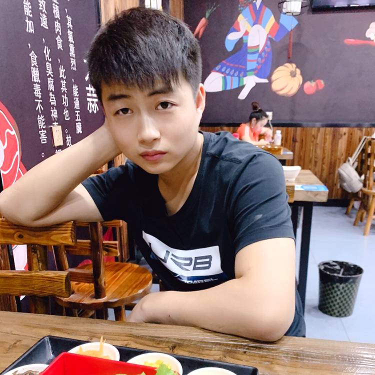 活力演变玫瑰的照片