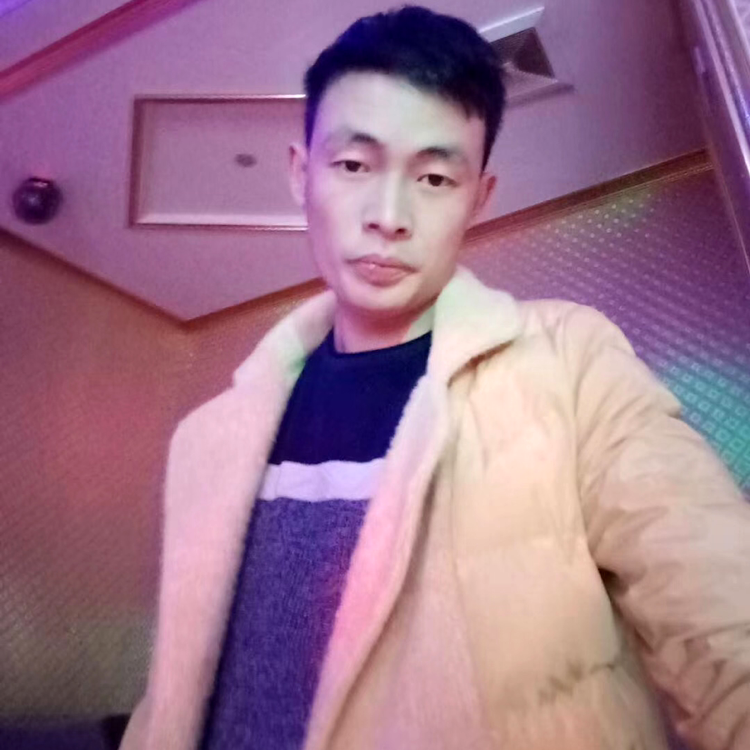 缥缈泪了含羞草的照片