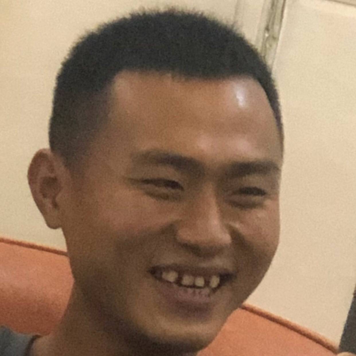 小猫咪平常的照片