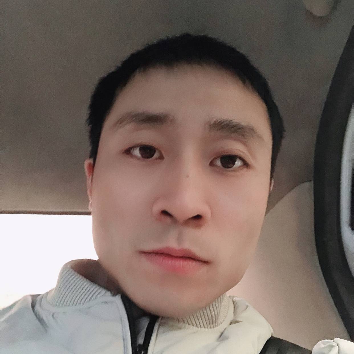 小天鹅的美满的照片