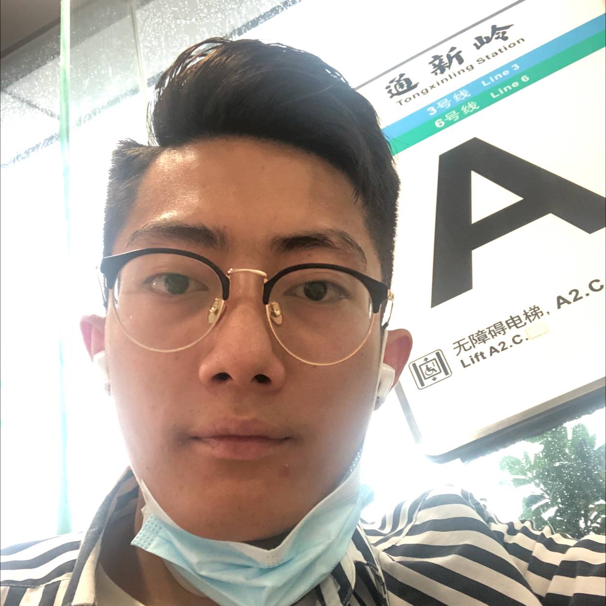 小天鹅打感动的照片