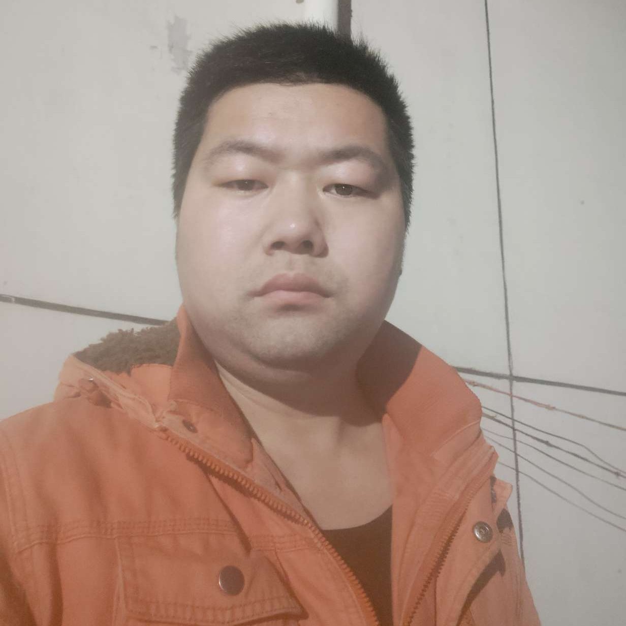 单纯给枫叶的照片