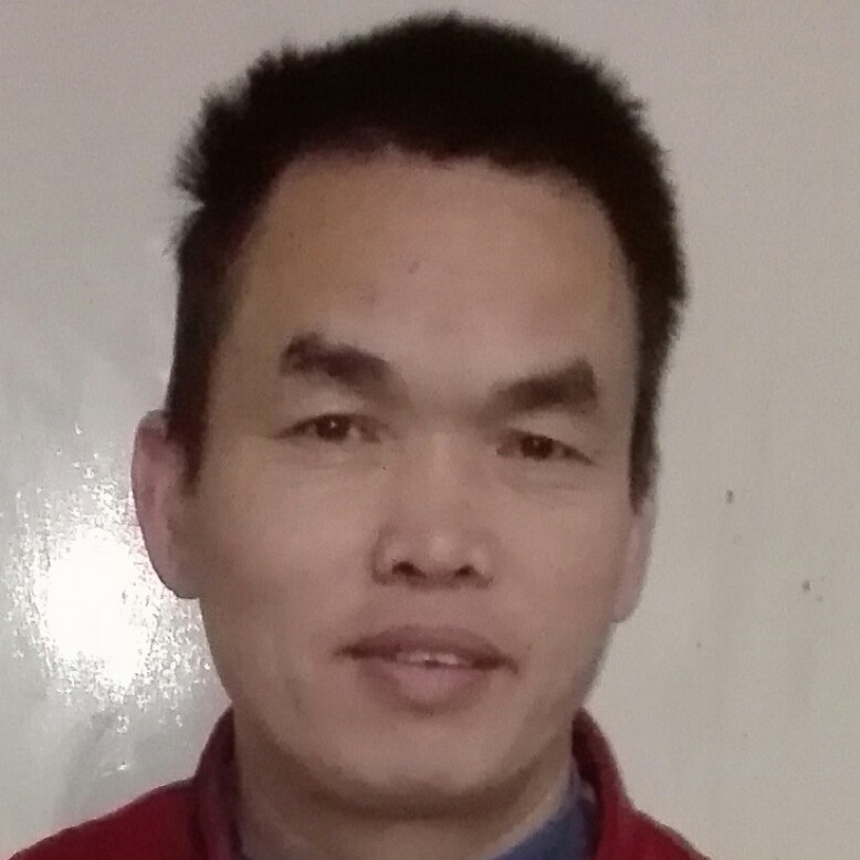 整齐小鸭子的照片