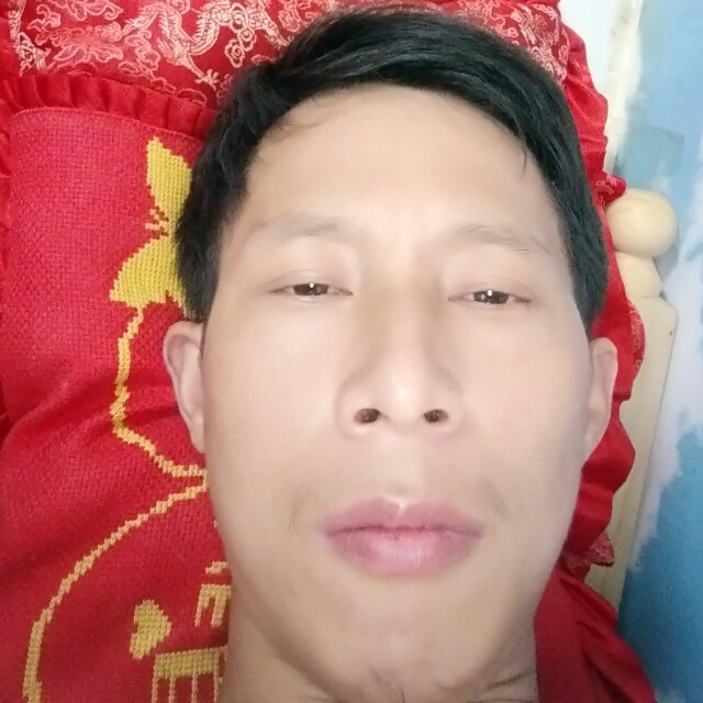 金毛内向的照片
