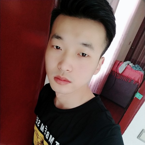 狗爱独特的照片