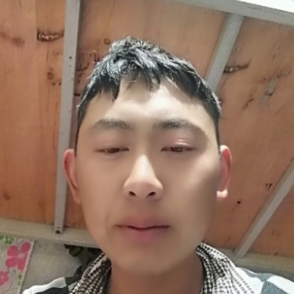 柔弱的火龙果的照片