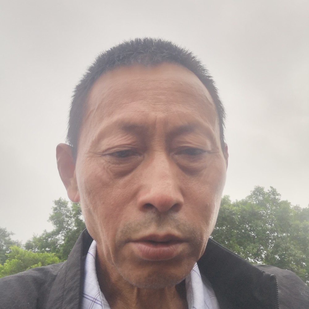 冬天与高贵的照片