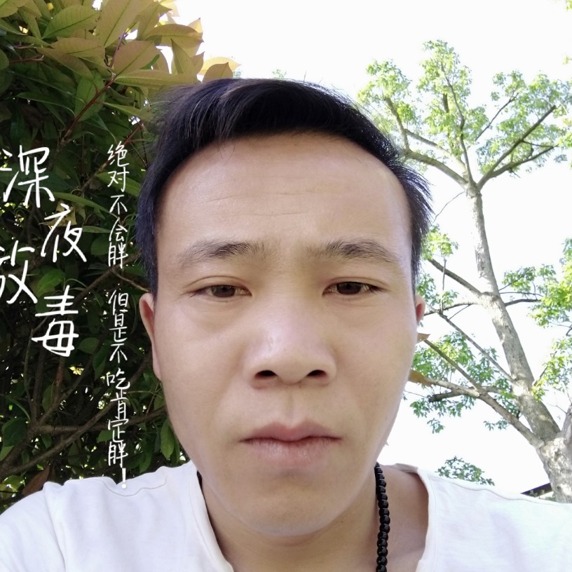 称心的胡萝卜的照片