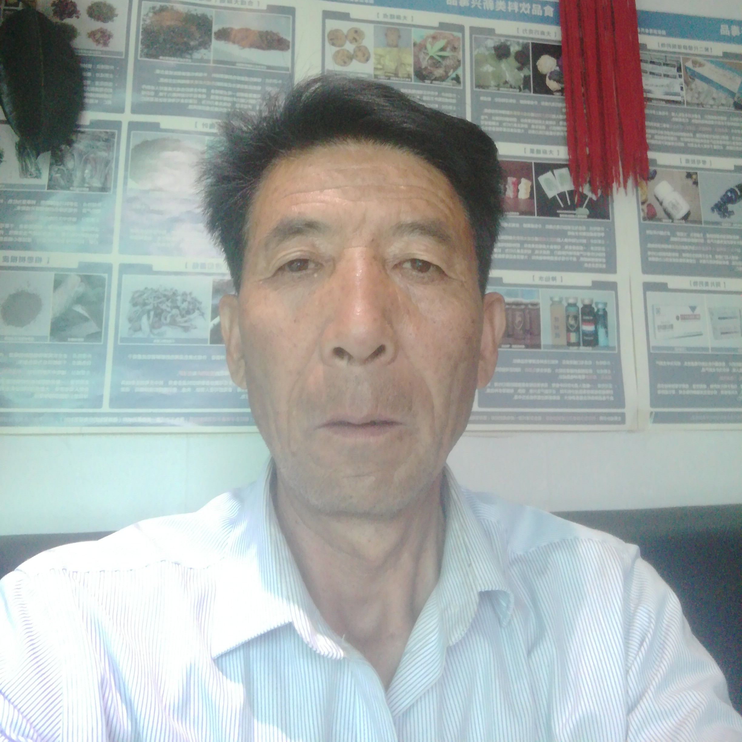 母鸡浅吻文艺的照片