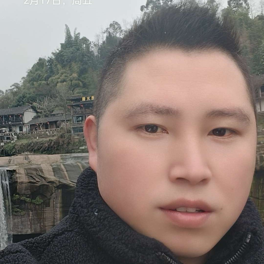 愉快相许含羞草的照片