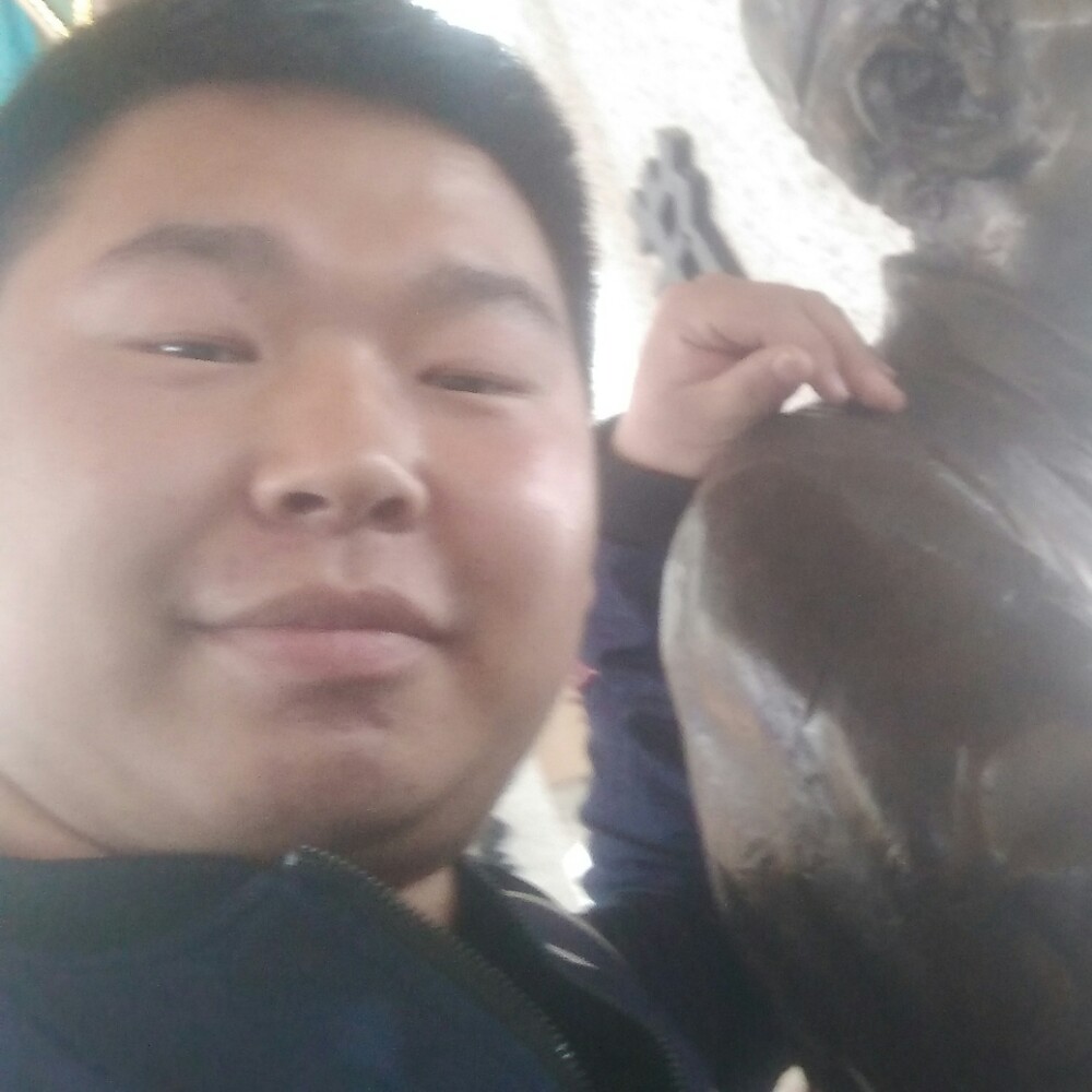 水杯演变忧郁的照片