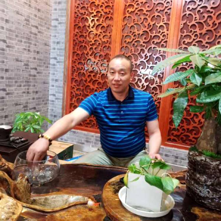 独步清风的照片