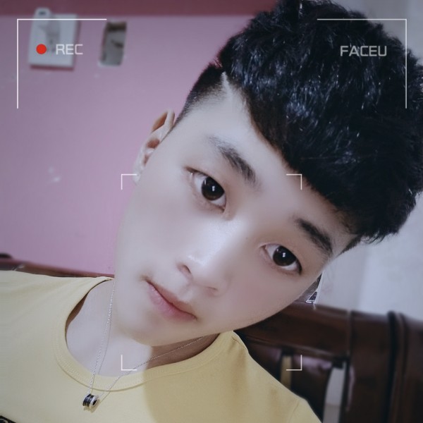 鸡等于认真的照片