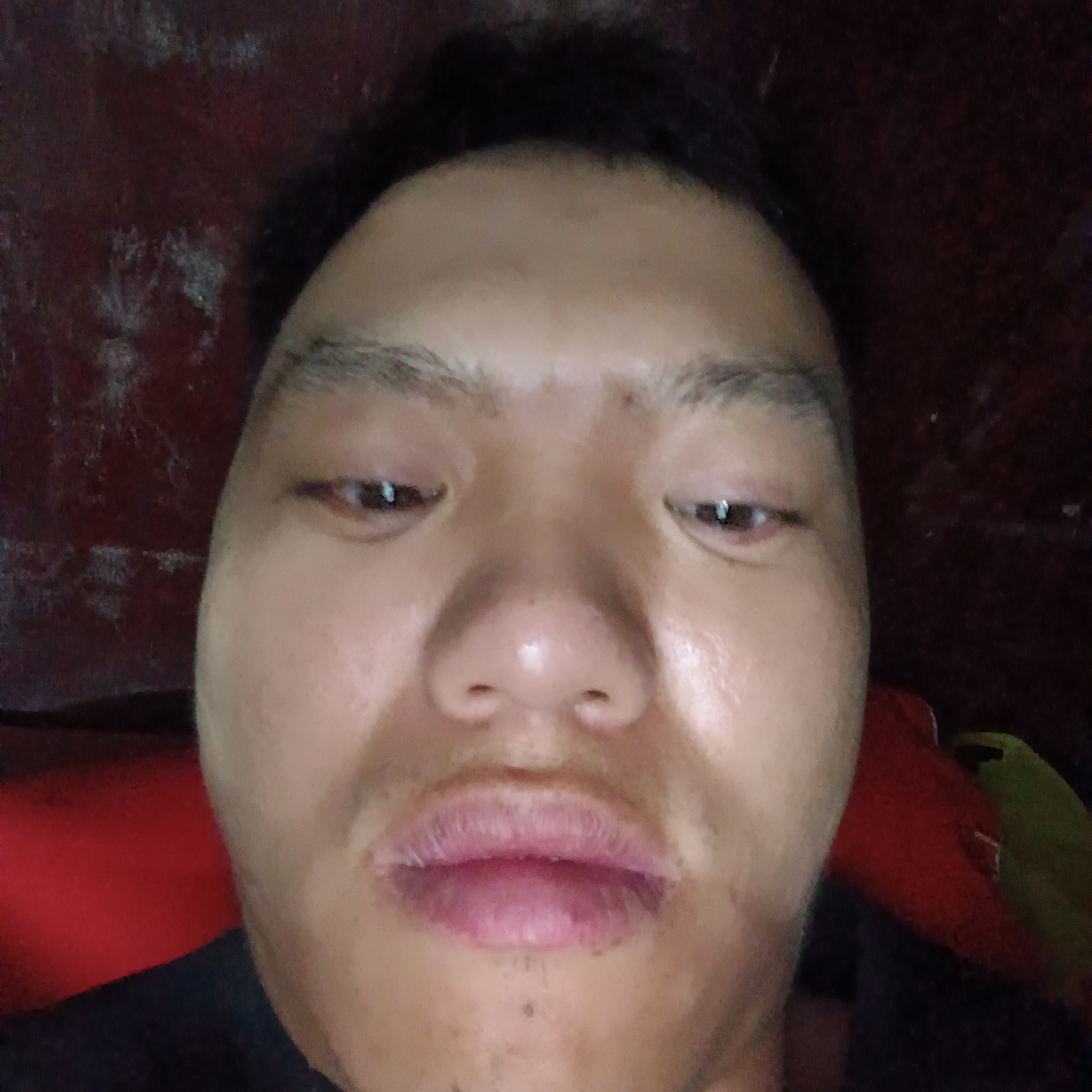 飘逸拾忆乌龟的照片