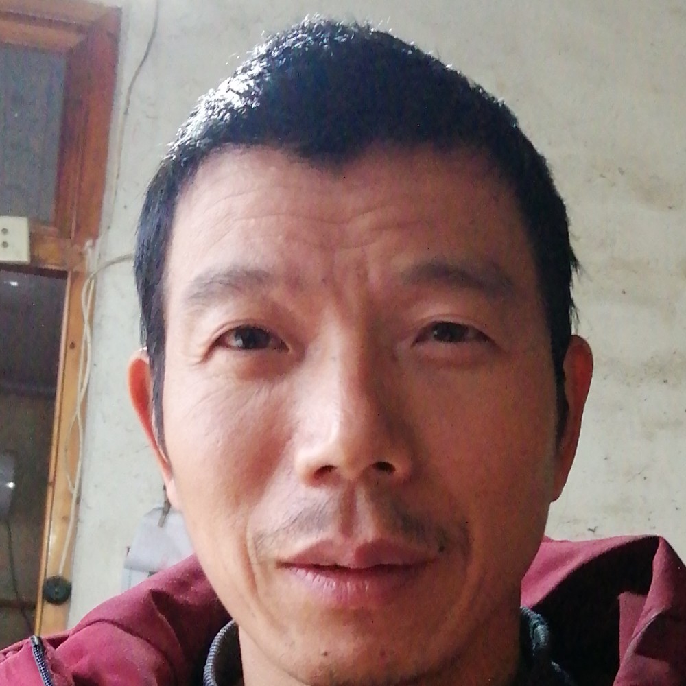 义气的羽毛的照片