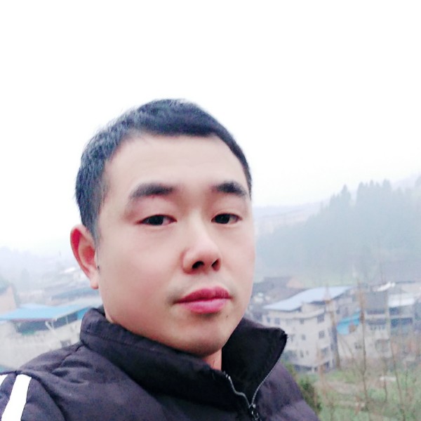 ,,,,.的照片