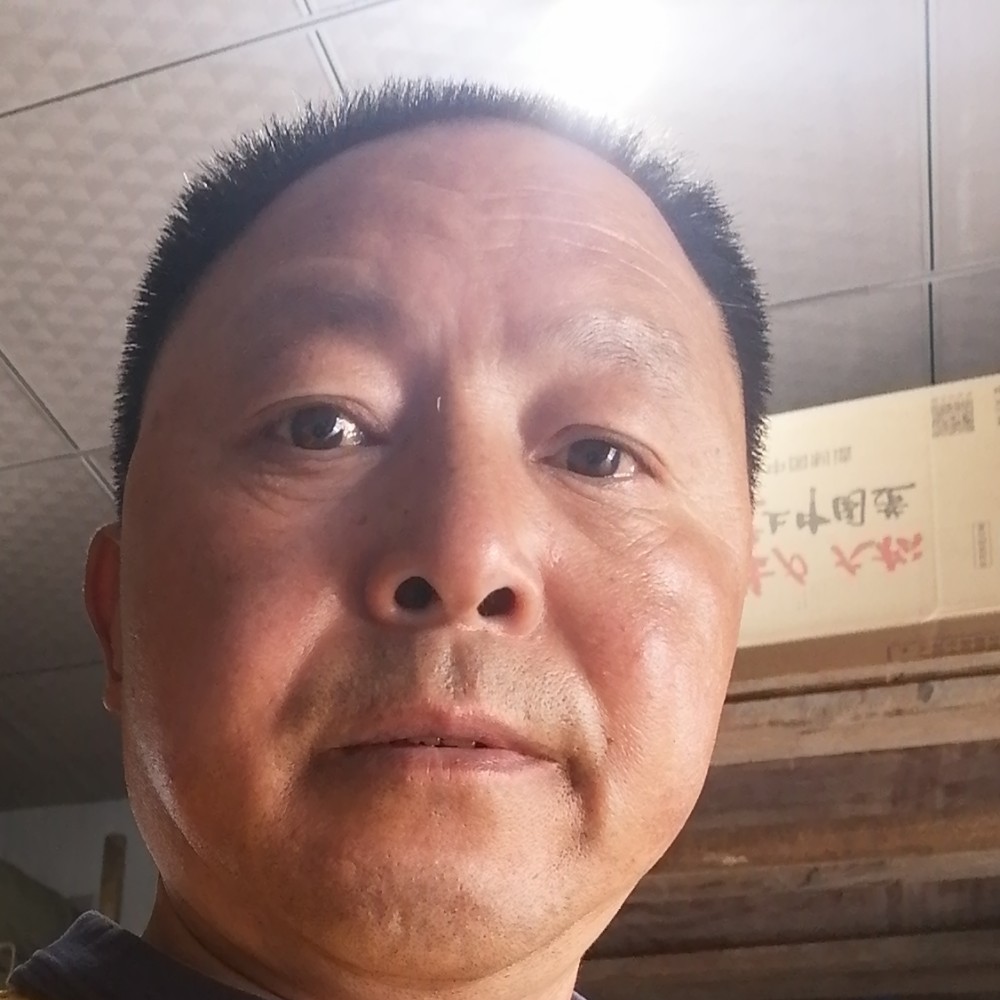 人生与无心的照片