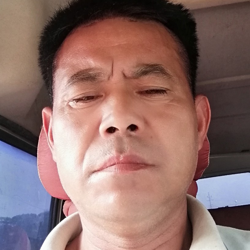 南方大燕的照片