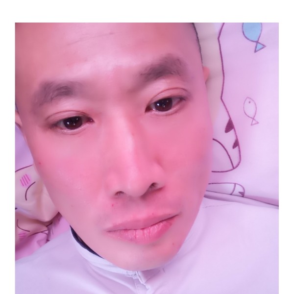 飞鸟绵密的照片