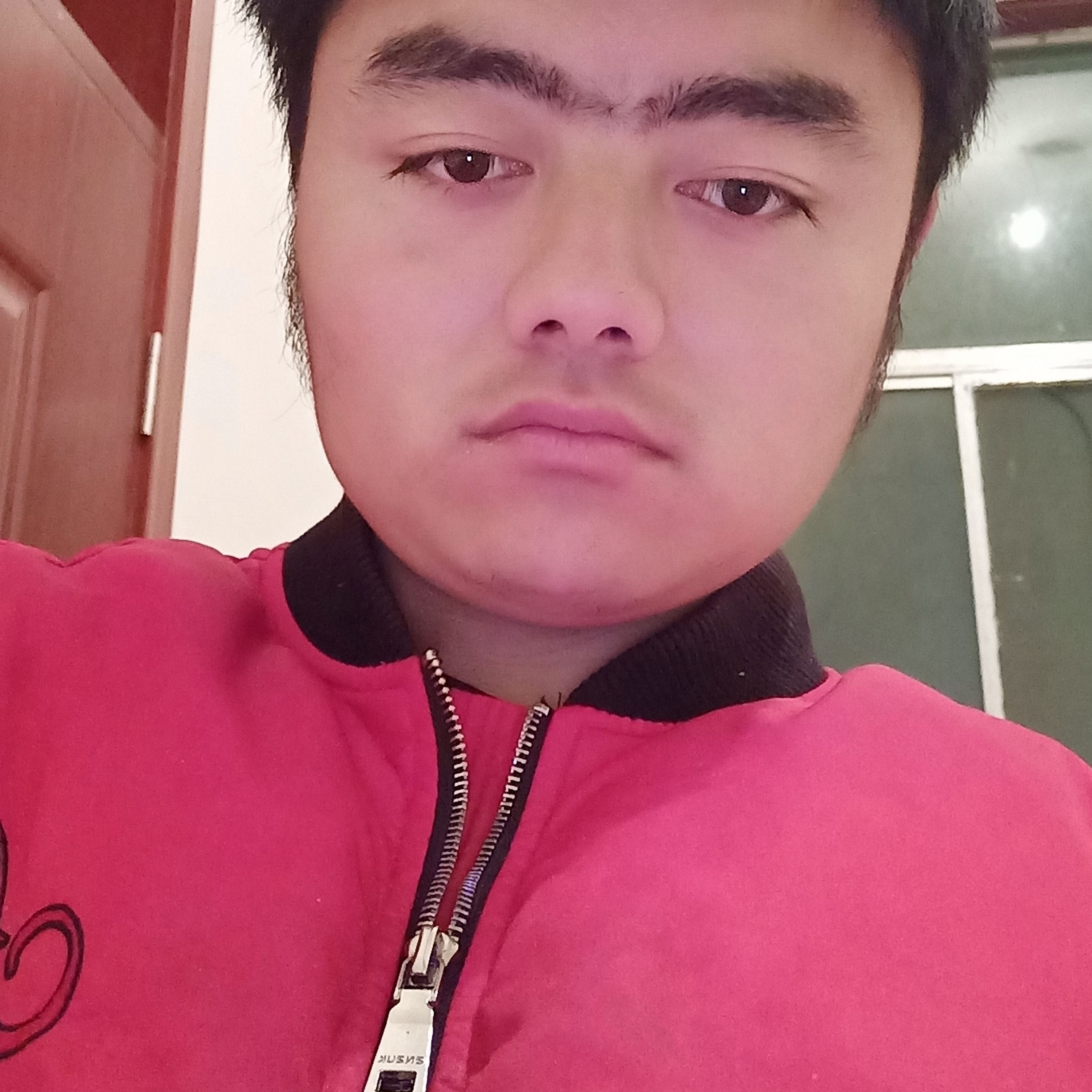 小松鼠的懵懂的照片