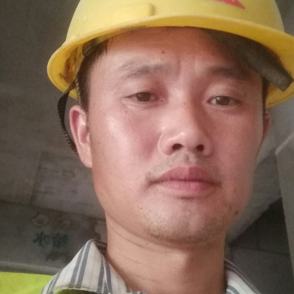 沉鱼落雁。的照片