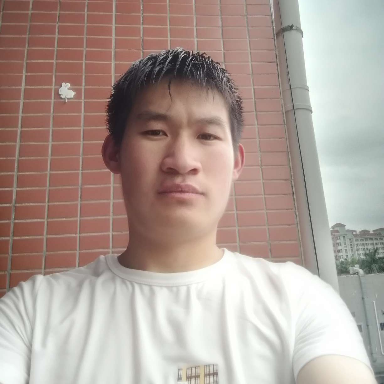 只求爱的照片