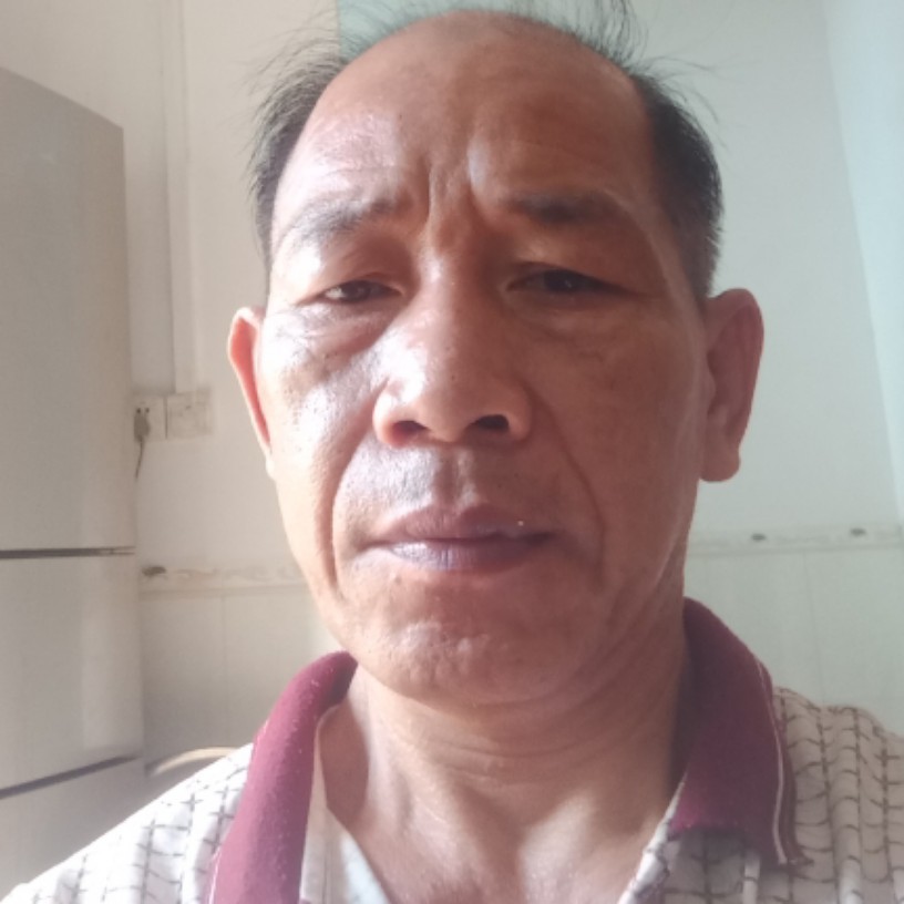 打开灯笼寻伴侣的照片