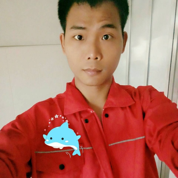 猫头鹰与小飞象的照片