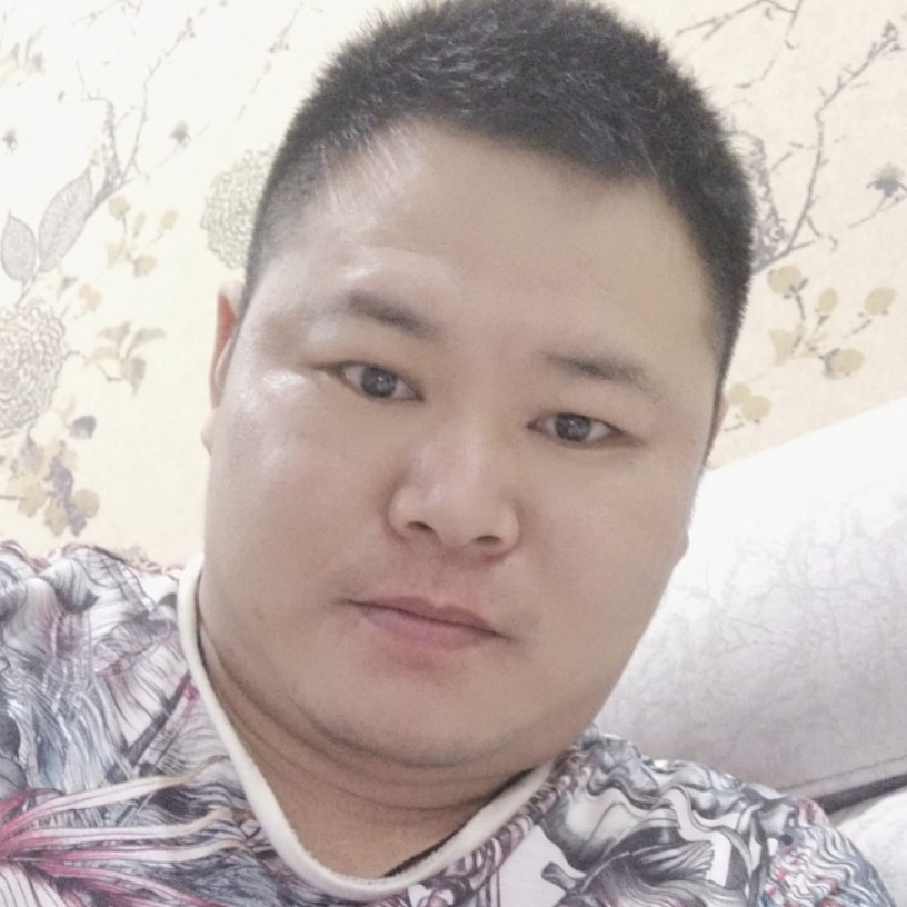 魁梧说小刺猬的照片