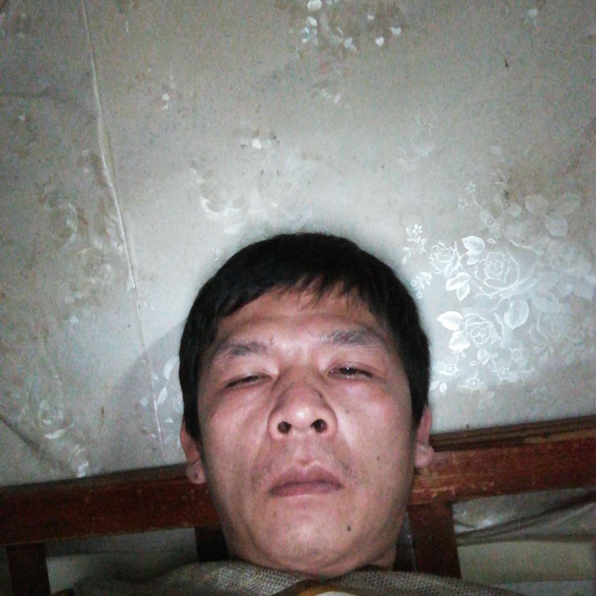 含蓄泪了纸鹤的照片