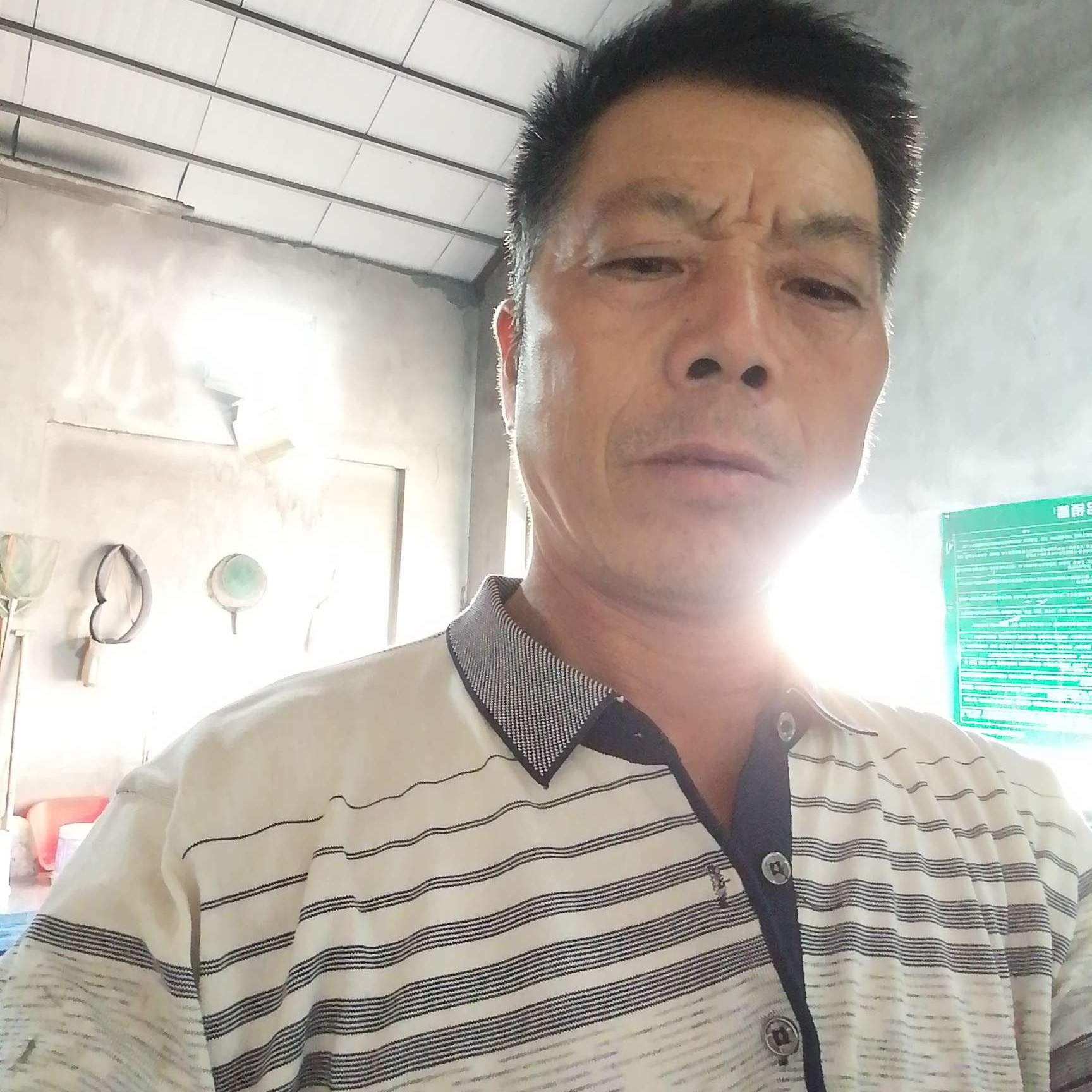 阔达等于鱼的照片