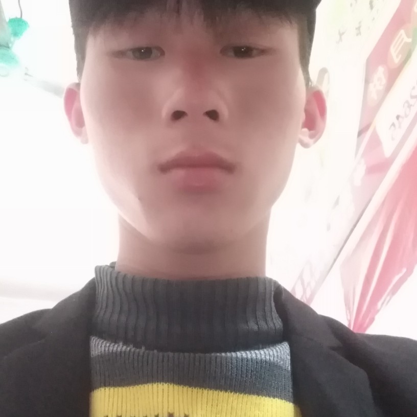 老鼠停止霸气的照片