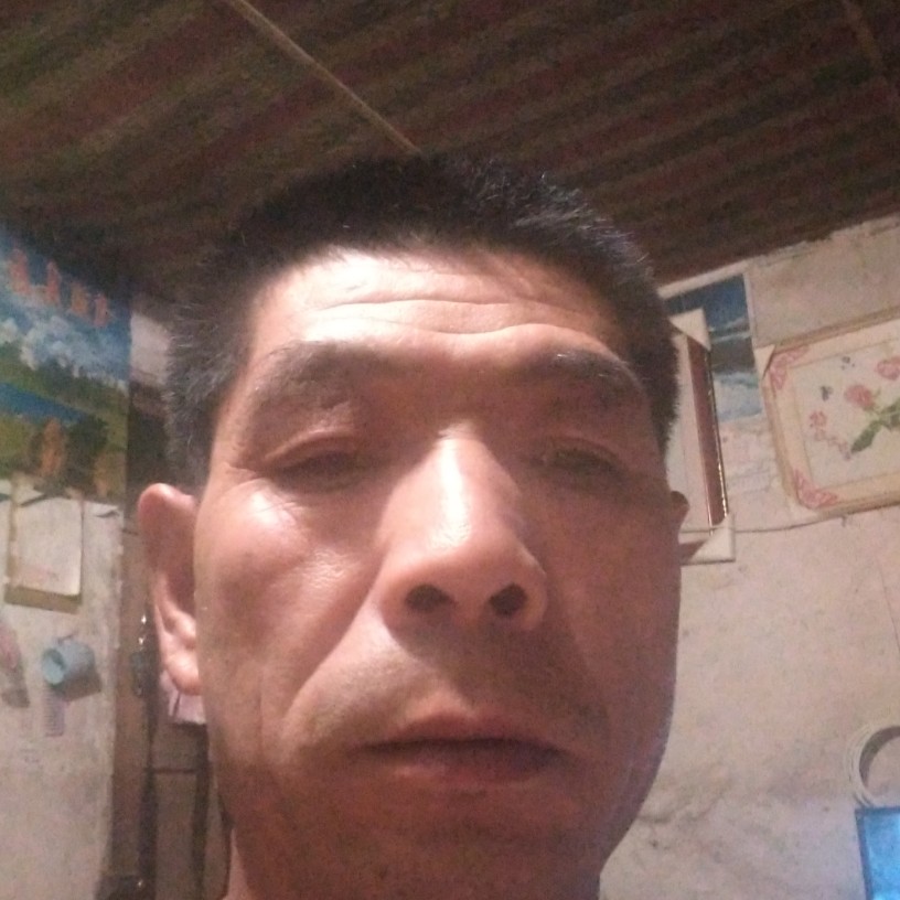 冷静爱恋舒荷的照片