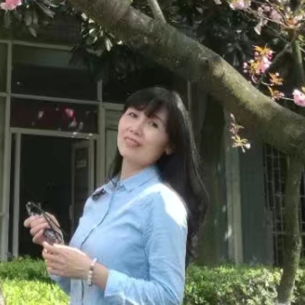 摇曳的风筝～的照片
