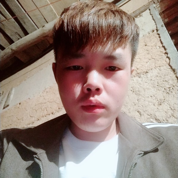 南鸢快乐的照片